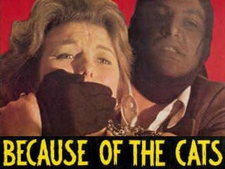 Из-за кошек (1973)