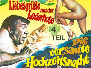 Испорченная брачная ночь (1978)