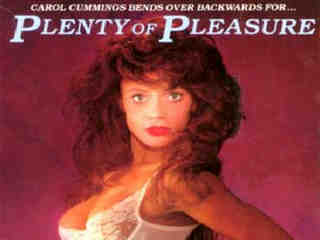 Изобилие удовольствия (1990)