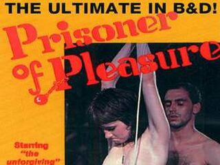 Узник удовольствия (1981)