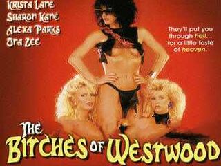 Суки из Вествуда (1988)