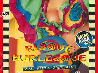 Рискованный бурлеск 2 (1996)