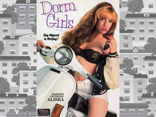 Девушки из общежития (1992)
