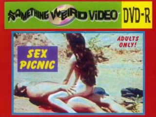 Секс-пикник (1971)
