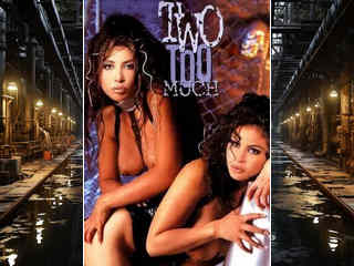 Два слишком много (1996)