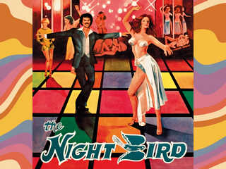 Ночная птица (1977)